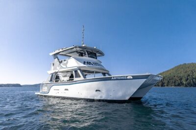 Big Island: Pelagic Whale Watch Tour - Wildlife Hotspots: How the Nearshore Portion Plays Out