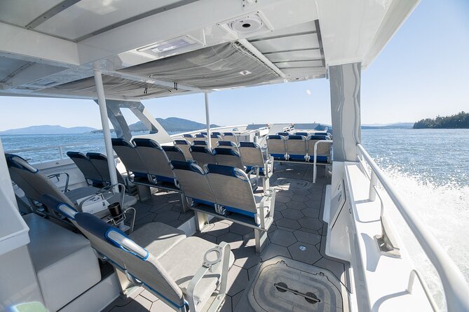 Big Island: Pelagic Whale Watch Tour - Species Highlights: What You Might See in a Good Day