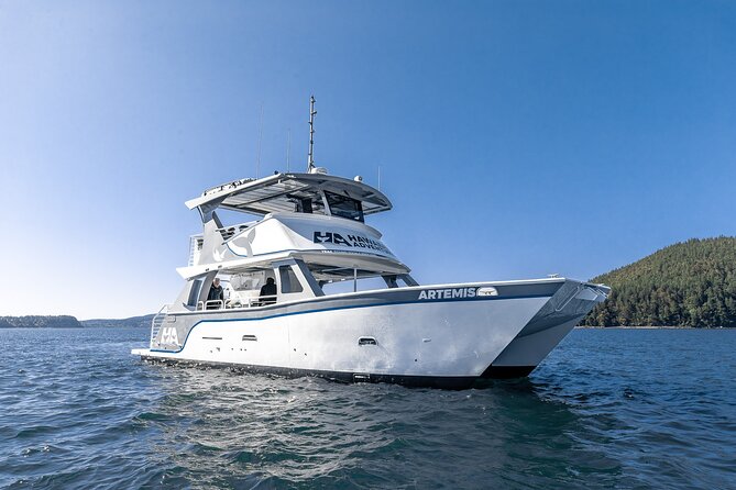 Big Island: Pelagic Whale Watch Tour - Wildlife Hotspots: How the Nearshore Portion Plays Out