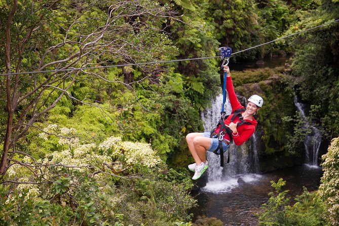 Big Island Zipline Tour Near Akaka Falls (250-ft Waterfall!) - Who this tour fits best (and who should skip it)
