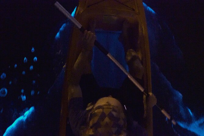 Bioluminescence Kayak Tour - The 2-Hour Flow: What Happens Once You’re on the Water