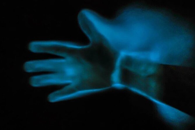 Bioluminescence Kayak Tour - Wildlife Chances: Fish, Dolphins, Manatees, and the Fun of Not Knowing