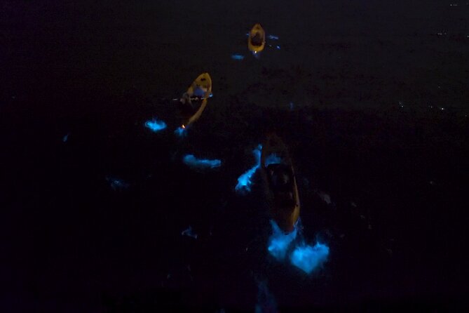 Bioluminescence Kayak Tour - Your Guide Makes the Difference: From Aidan to Zoey to Caleb