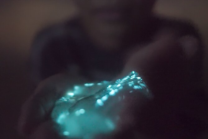 Bioluminescence Kayak Tour - What to Bring: Wet Clothes, Water Shoes, and a Camera Reality Check