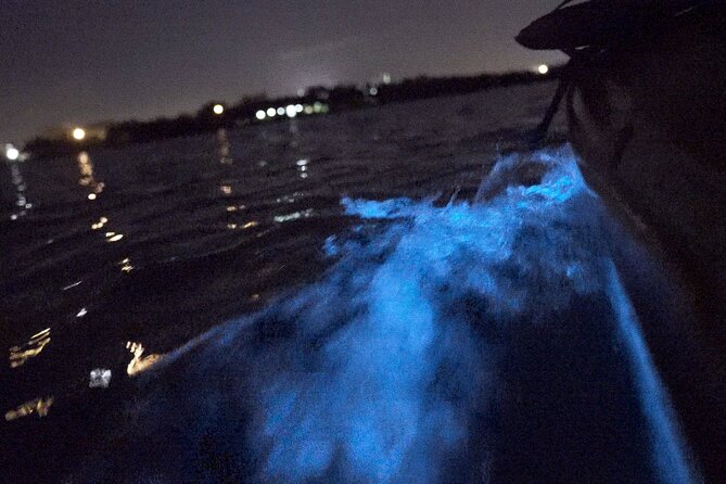Bioluminescence Kayak Tour - Light Pollution and Off-Season Glow: How to Set Expectations