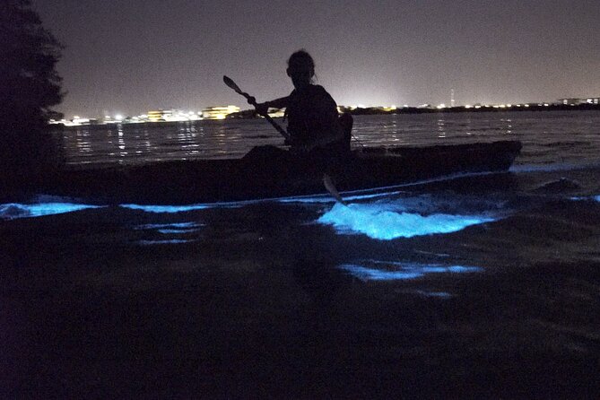 Bioluminescence Kayak Tour - Two Kinds of Bioluminescence: Dinoflagellates vs Comb Jellies