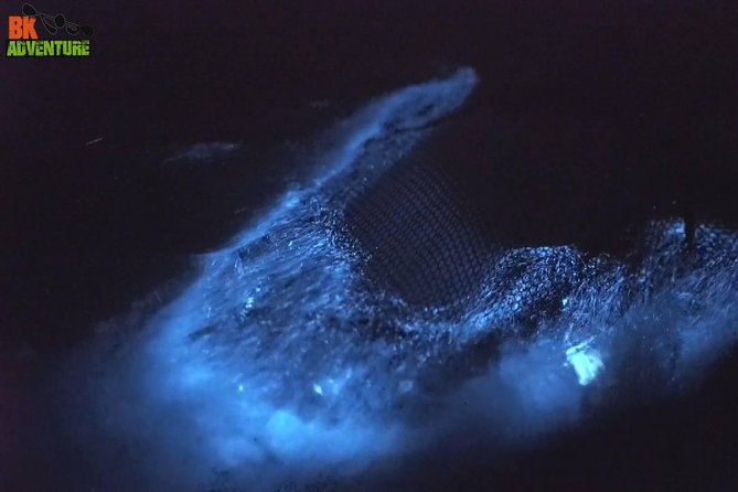 Bioluminescence Night Kayaking Tour of Merritt Island Wildlife Refuge - Haulover Canal meeting point: gear-up, get oriented, then go