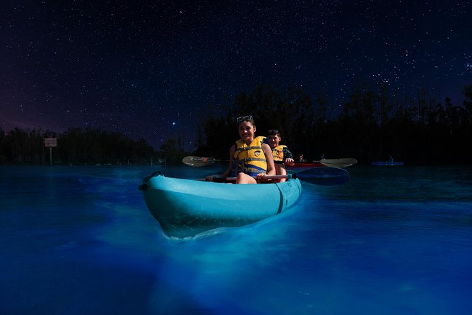 Bioluminescence Night Kayaking Tour of Merritt Island Wildlife Refuge - The guide makes it real: learning the phenomenon on the water