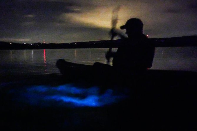 Bioluminescence Night Kayaking Tour of Merritt Island Wildlife Refuge - Comfort and skills: who should book, and who might feel stressed