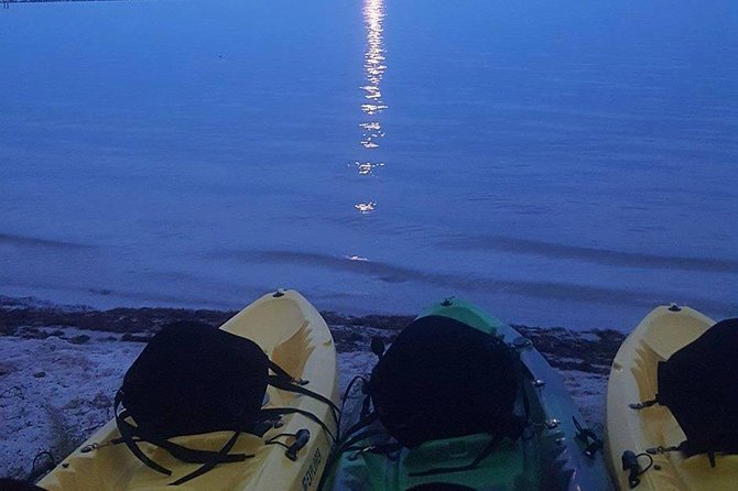 Bioluminescence Night Kayaking Tour of Merritt Island Wildlife Refuge - The 90-minute plan: what happens on the water after dark