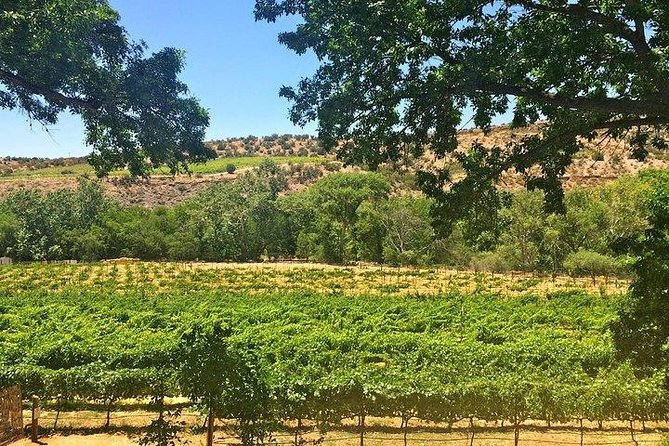 Bliss - Sedona’s Most Luxurious Wine Tour - Lunch Included! - Stop 4: Javelina Leap Vineyard, Winery, and Bistro
