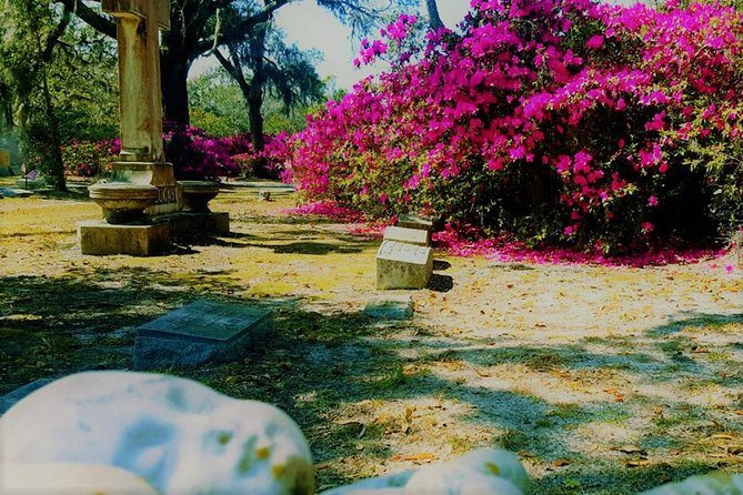 Bonaventure Cemetery Scenic History Art Symbols and Film Tour - Victorian-era symbolism: how to spot meaning in headstones and monuments