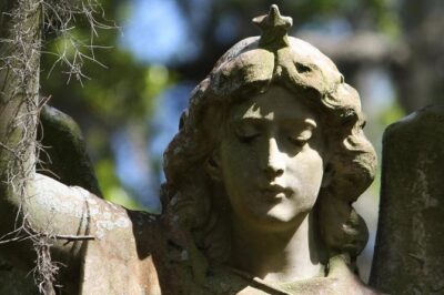 Bonaventure Cemetery Walking Tour with Transportation - Walking Through the Historic Section (Mostly on Foot)