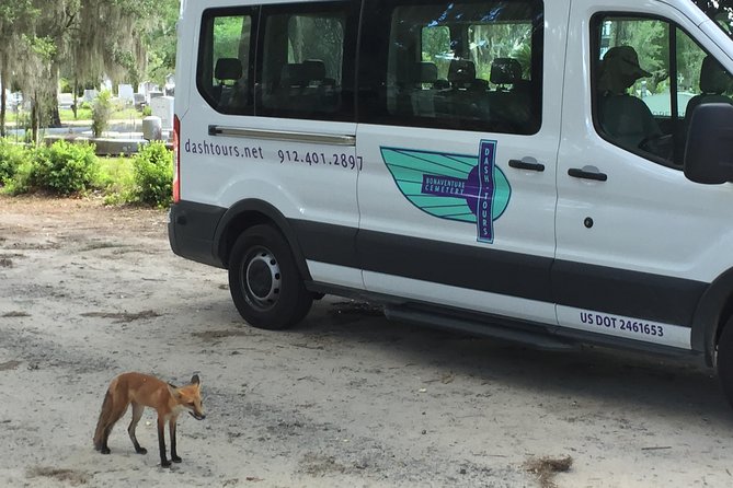 Bonaventure Cemetery Walking Tour with Transportation - What You’ll Learn Beyond the Gravestones