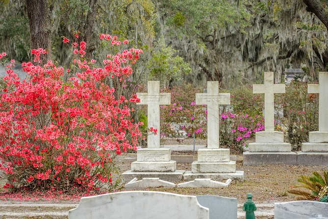 Bonaventure Cemetery & Wormsloe State Historic Site Tour - Bonaventure Cemetery: the mossy walk and the people behind the names