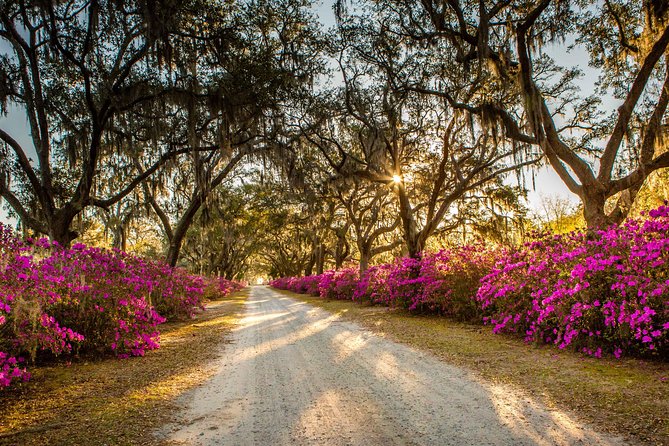 Bonaventure Cemetery & Wormsloe State Historic Site Tour - Guides and group energy: why your guide can change everything