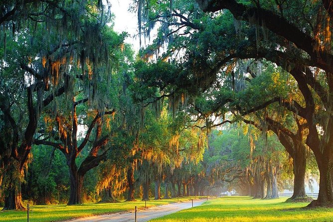 Boone Hall Plantation All-Access Admission Ticket - First-floor guided tour: what you’re really seeing in the main house
