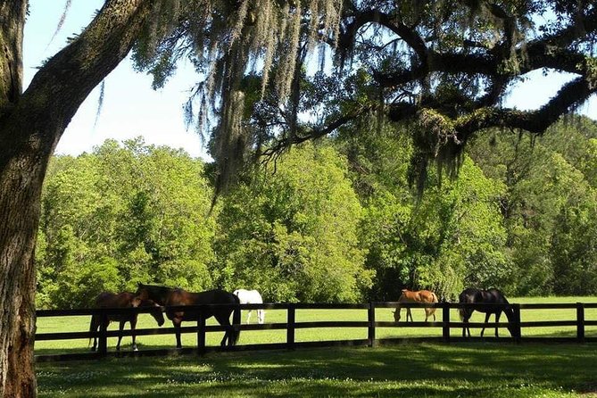 Boone Hall Plantation All-Access Admission Ticket - The Gullah Culture live presentation: the part many people remember