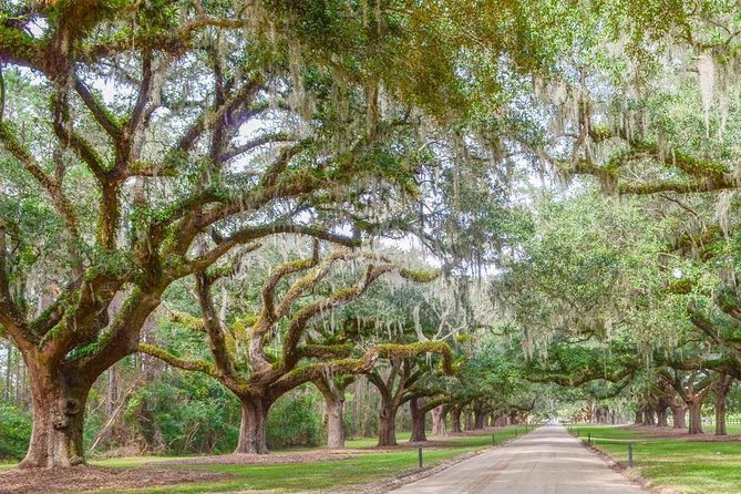 Boone Hall Plantation All-Access Admission Ticket - Price and value: is $36.50 a fair deal?