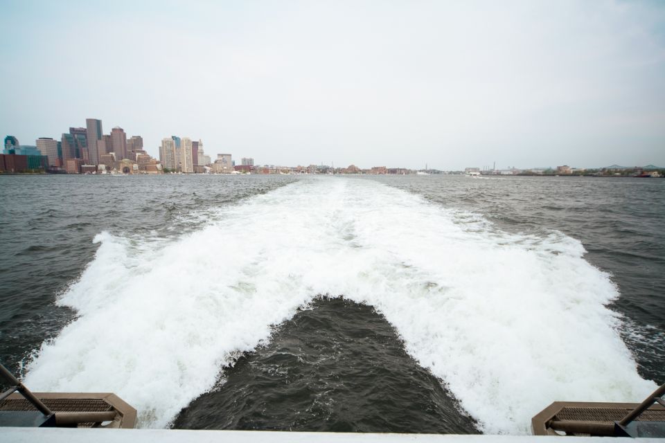 Boston: City Cruises Whale Watching Cruise - Boston harbor starts at Long Wharf, not some random dock