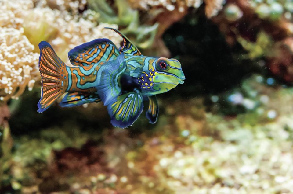 Boston: New England Aquarium Entry + Optional Simons Theatre - Price and Value: What You’re Really Paying For