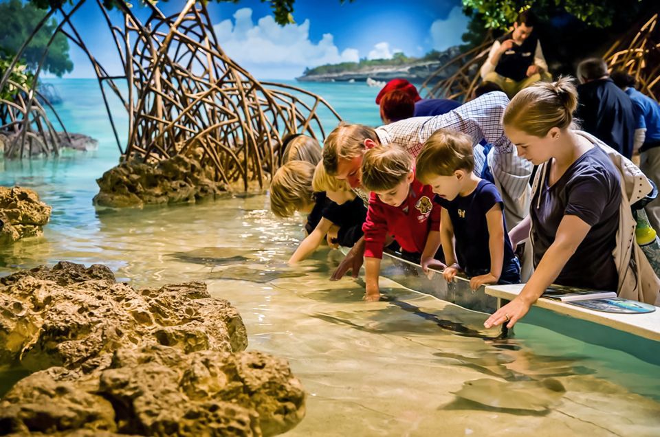 Boston: New England Aquarium Entry + Optional Simons Theatre - Yawkey Coral Reef Center and the Indo-Pacific Floor-to-Ceiling Exhibit