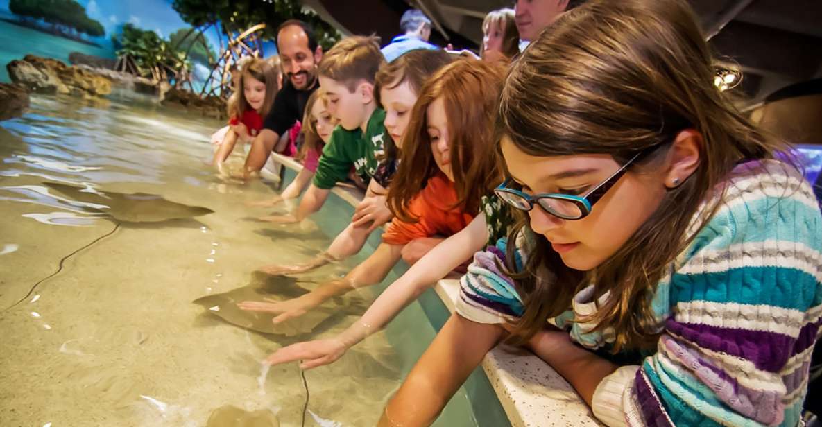 Boston: New England Aquarium Entry + Optional Simons Theatre - Amazon Rainforest Themed Stops: Piranhas and Anacondas