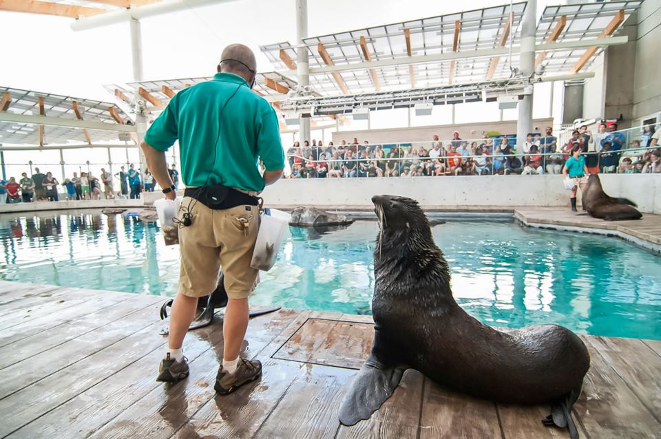 Boston: New England Aquarium Entry + Optional Simons Theatre - A 1-Day Plan That Keeps You Relaxed (Not Rushed)