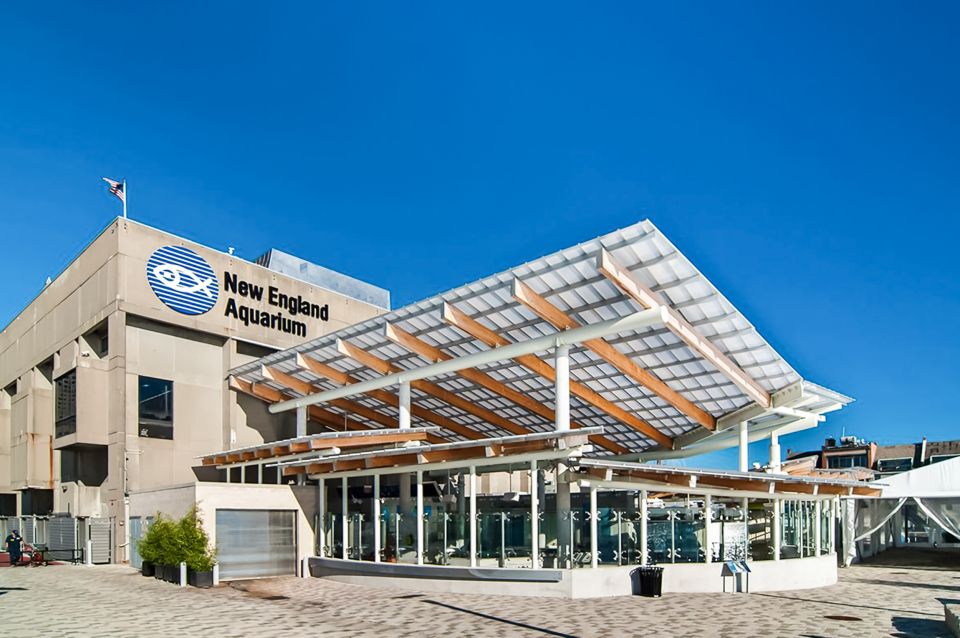 Boston: New England Aquarium Skip-the-Line Entry Ticket - Start at the penguin colony on Level 1 (it sets the mood fast)