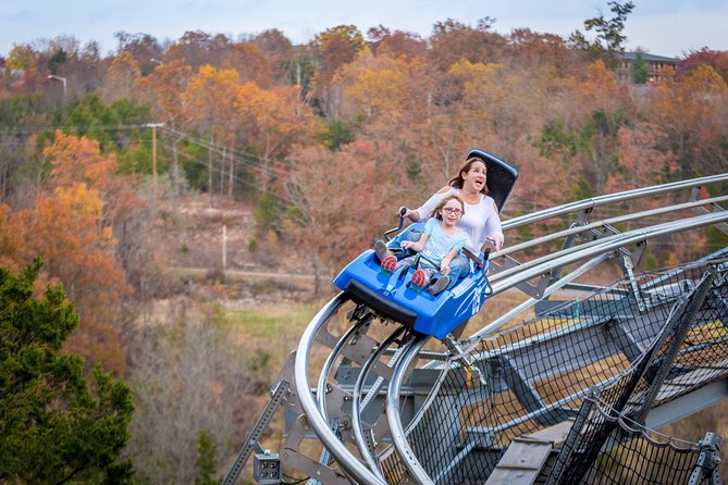 Branson Alpine Mountain Coaster Ticket - Expect the unexpected: weather, lines, and ride timing
