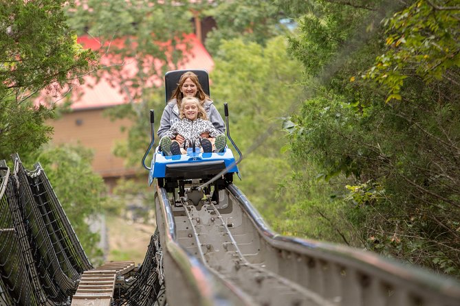Branson Alpine Mountain Coaster Ticket - Family fit: who will love this and who might not