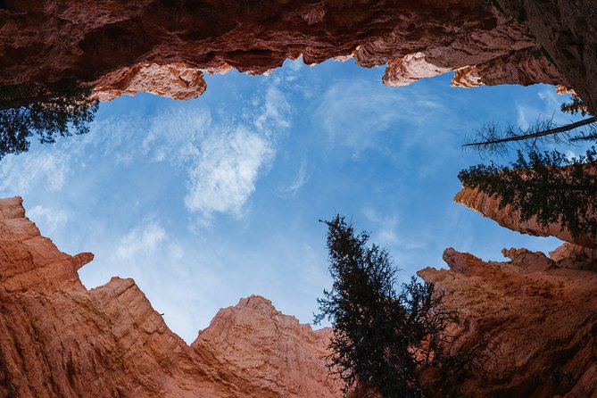 Bryce Canyon & Zion National Park from Las Vegas with Lunch, WiFi - Price and Value: What You’re Actually Paying For
