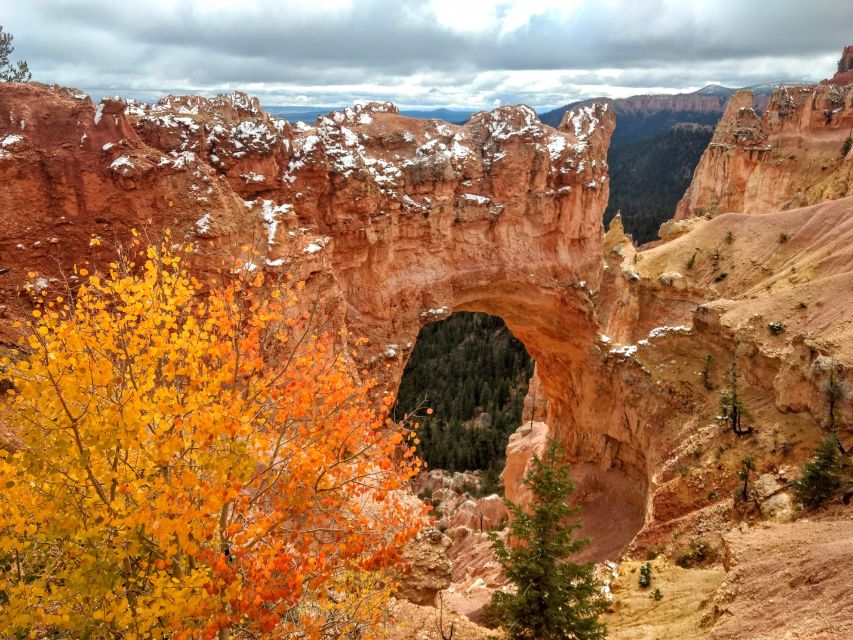 Bryce: Guided Sightseeing Tour of Bryce Canyon National Park - Meeting at Bryce Wildlife Adventure and starting your Bryce Canyon game plan