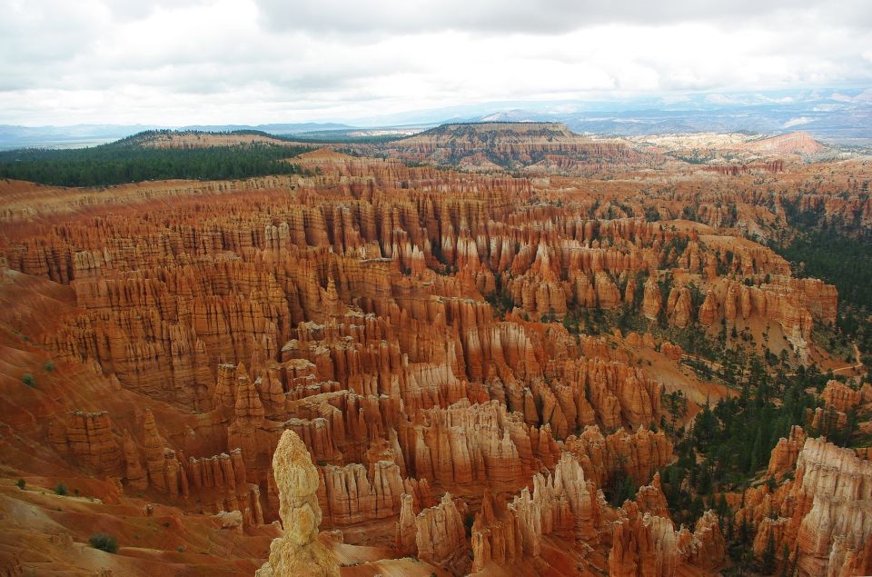 Bryce: Guided Sightseeing Tour of Bryce Canyon National Park - Cathedral and conglomerate sections: the rock shapes that start telling stories