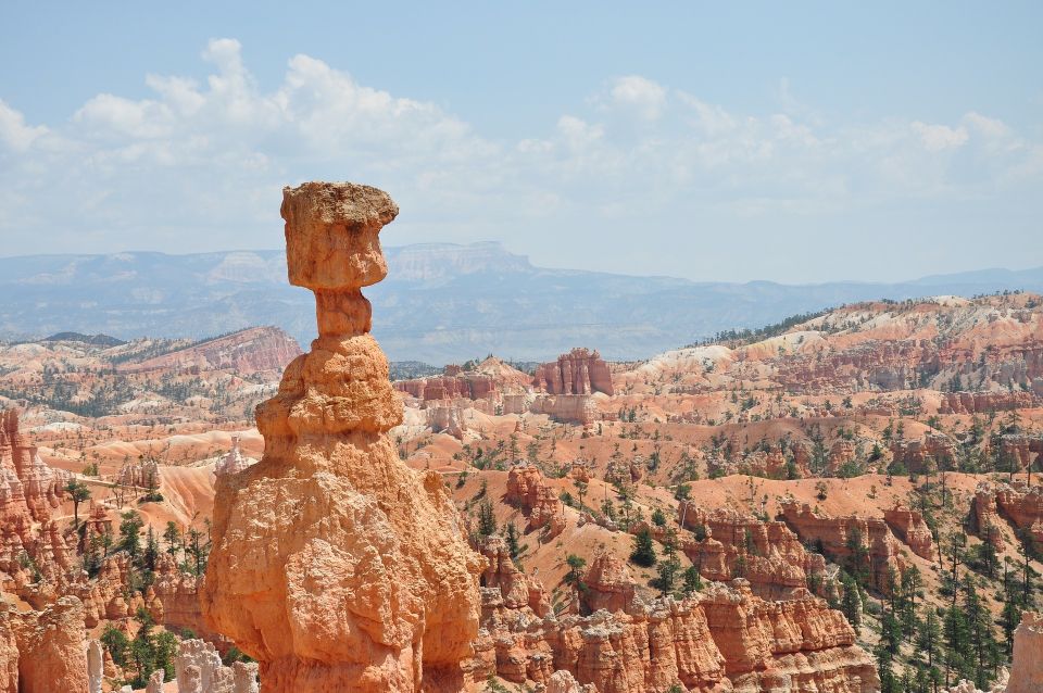 Bryce: Guided Sightseeing Tour of Bryce Canyon National Park - Wall Street: Silent City, Thor’s Hammer, and the hoodoos that feel like characters