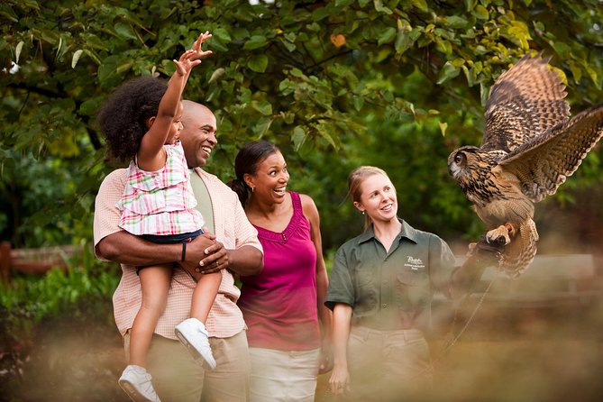 Busch Gardens Williamsburg Admission Ticket - Roller coaster priorities: Alpengeist, Loch Ness Monster, Apollo’s Chariot, Verbolten