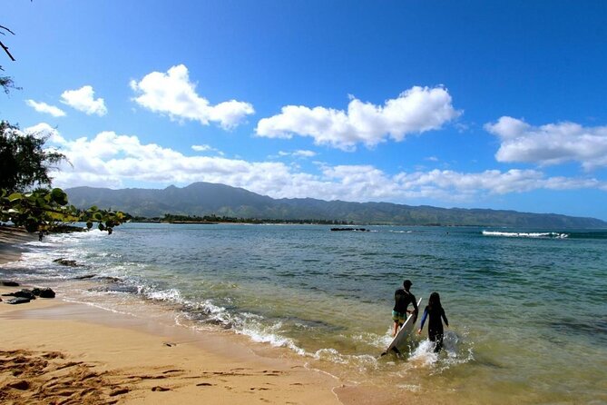 Cage-Free Shark Swim from Oahu - Why this cage-free shark swim feels different