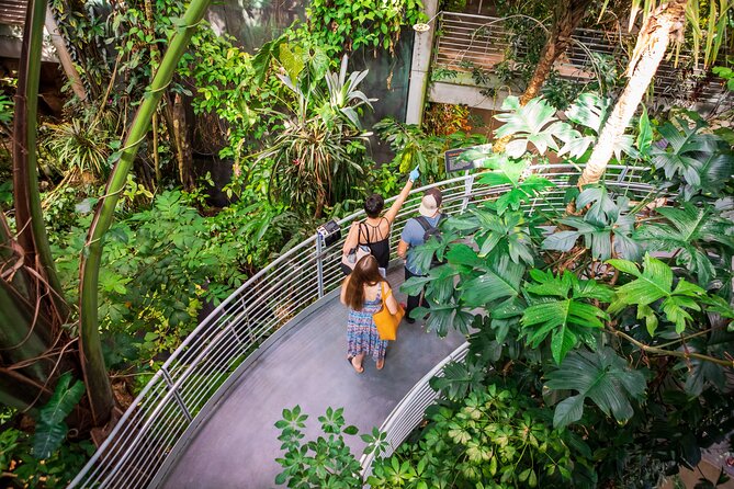 California Academy of Sciences General Admission Ticket - Price and what you actually get for $49