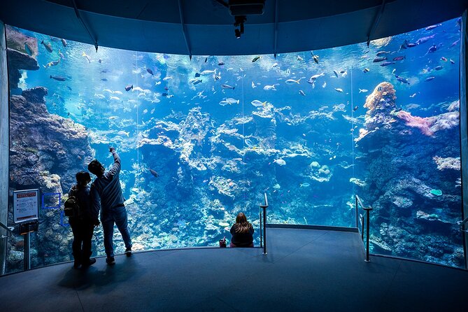 California Academy of Sciences General Admission Ticket - How to pace a 3–5 hour day without feeling rushed
