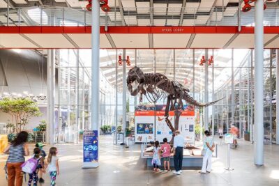 California Academy of Sciences General Admission Ticket - Arriving in Golden Gate Park and getting in quickly