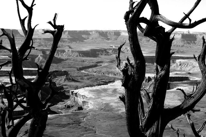 Canyonlands National Park Half-Day Tour from Moab - Musselman Arch: a short walk, a classic shape, and a good time to breathe