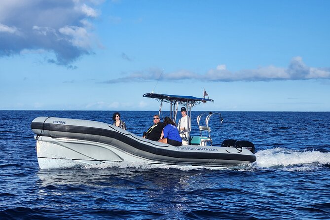 Captain Cook Snorkel Tour with Sea Caves and Lava Tubes - Boat reality: ladders, comfort, sunscreen, and the stuff you must bring
