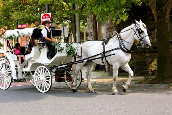 Carriage Ride in Central Park (VIP - PRIVATE) Since 1964™ - Where You Start (200 Central Park S) and How to Get In Smoothly