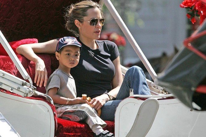 Carriage Ride in Central Park (VIP - PRIVATE) Since 1964™ - Horses, Carrots, and Blankets: The Comfort Stuff You’ll Actually Use