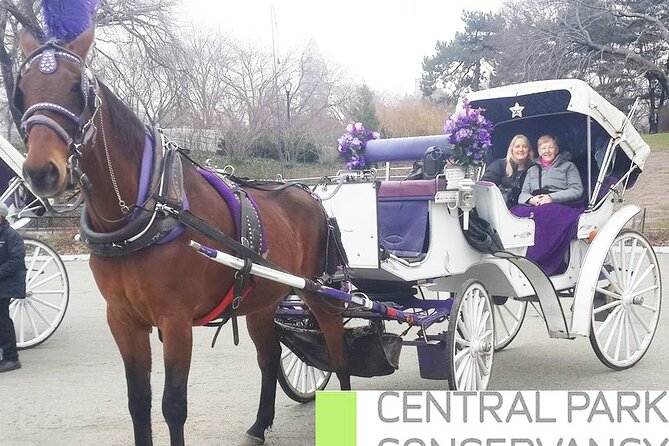 Carriage Ride in Central Park (VIP - PRIVATE) Since 1964™ - The Driver’s Commentary: What You’ll Learn Without Feeling Like a Lecture