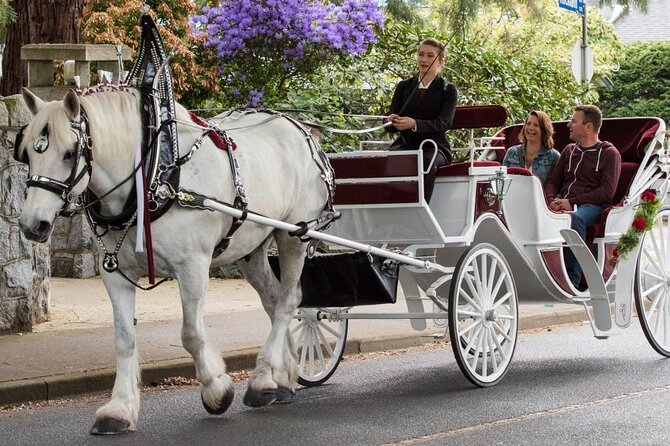 Carriage Ride in Central Park (VIP - PRIVATE) Since 1964™ - Best Time to Ride: Daylight Wins, Night Can Be Quiet