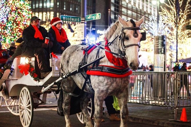 Carriage Ride in Central Park (VIP - PRIVATE) Since 1964™ - The 50-Minute Loop: From Wollman Rink to Sheep Meadow