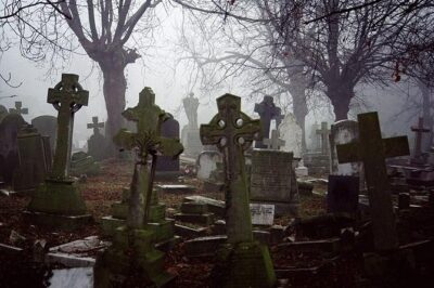 Cemetery and Ghost BYOB Bus Tour in New Orleans - Price, Timing, and What $30 Really Buys
