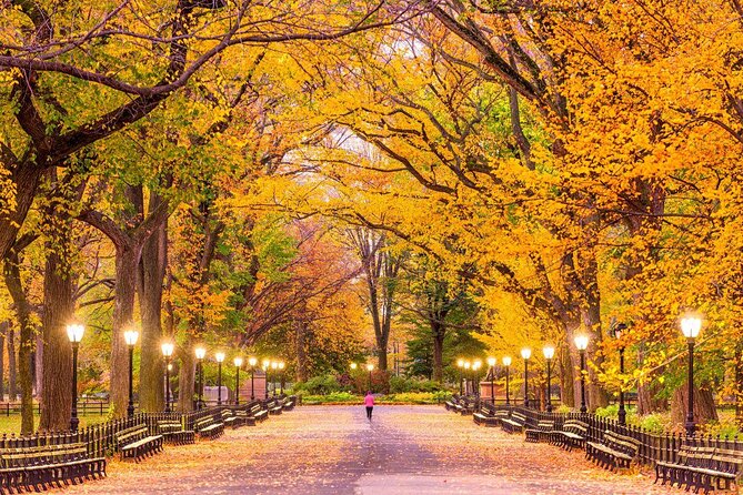 Central Park Guided Pedicab Tours - Quick Hits Before You Go