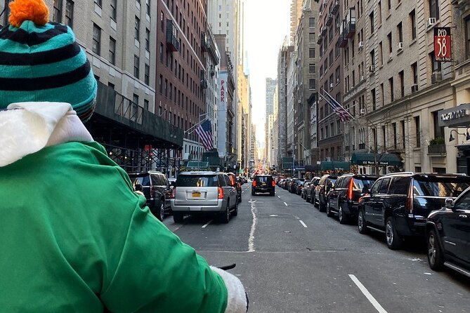 Central Park Guided Pedicab Tours - The Classic Central Park Circuit: Wollman Rink to Loeb Boathouse